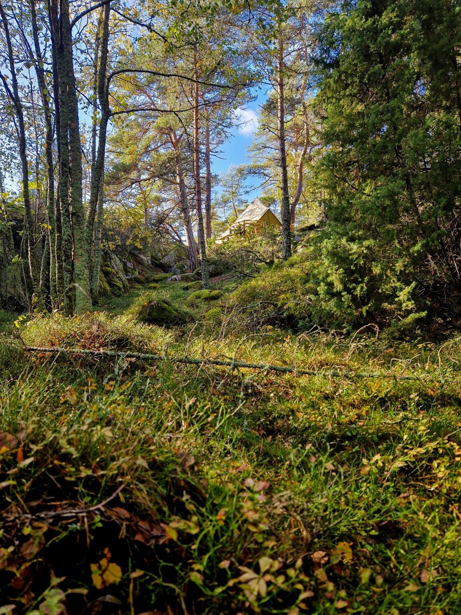 Braennskaer Cottages & Glamping Pargas Buitenkant foto